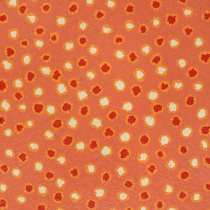 Mina Mina Jukurrpa (Mina Mina Dreaming) by Antoinette Napanangka Brown