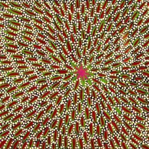 Karnta Jukurrpa (Women's Dreaming) - Bush Medicine by Helen Napaljarri Dixon