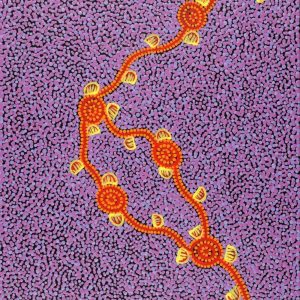 Wardapi Jukurrpa (Goanna Dreaming) - Yarripilangu by Melissa Napangardi Williams
