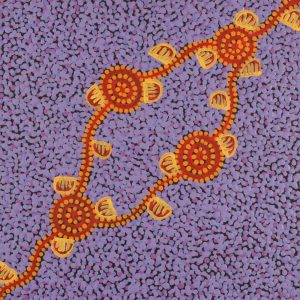 Wardapi Jukurrpa (Goanna Dreaming) - Yarripilangu by Melissa Napangardi Williams