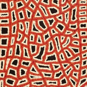 Ngapa Jukurrpa (Water Dreaming)  -  Pirlinyarnu by Delores Nangala Robertson