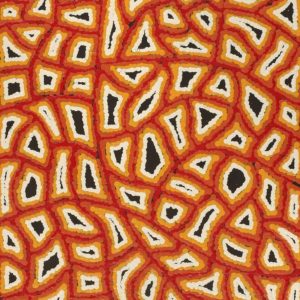 Ngapa Jukurrpa (Water Dreaming)  -  Puyurru by Delores Nangala Robertson