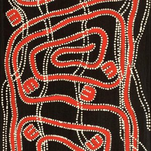 Janganpa Jukurrpa (Brush-tail Possum Dreaming)-  Mawurrji by Stephanie Napurrurla Nelson