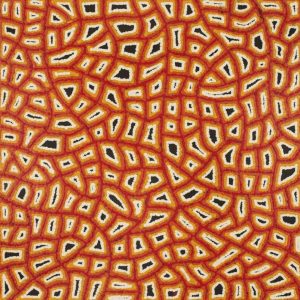 Ngapa Jukurrpa (Water Dreaming)  -  Puyurru by Delores Nangala Robertson