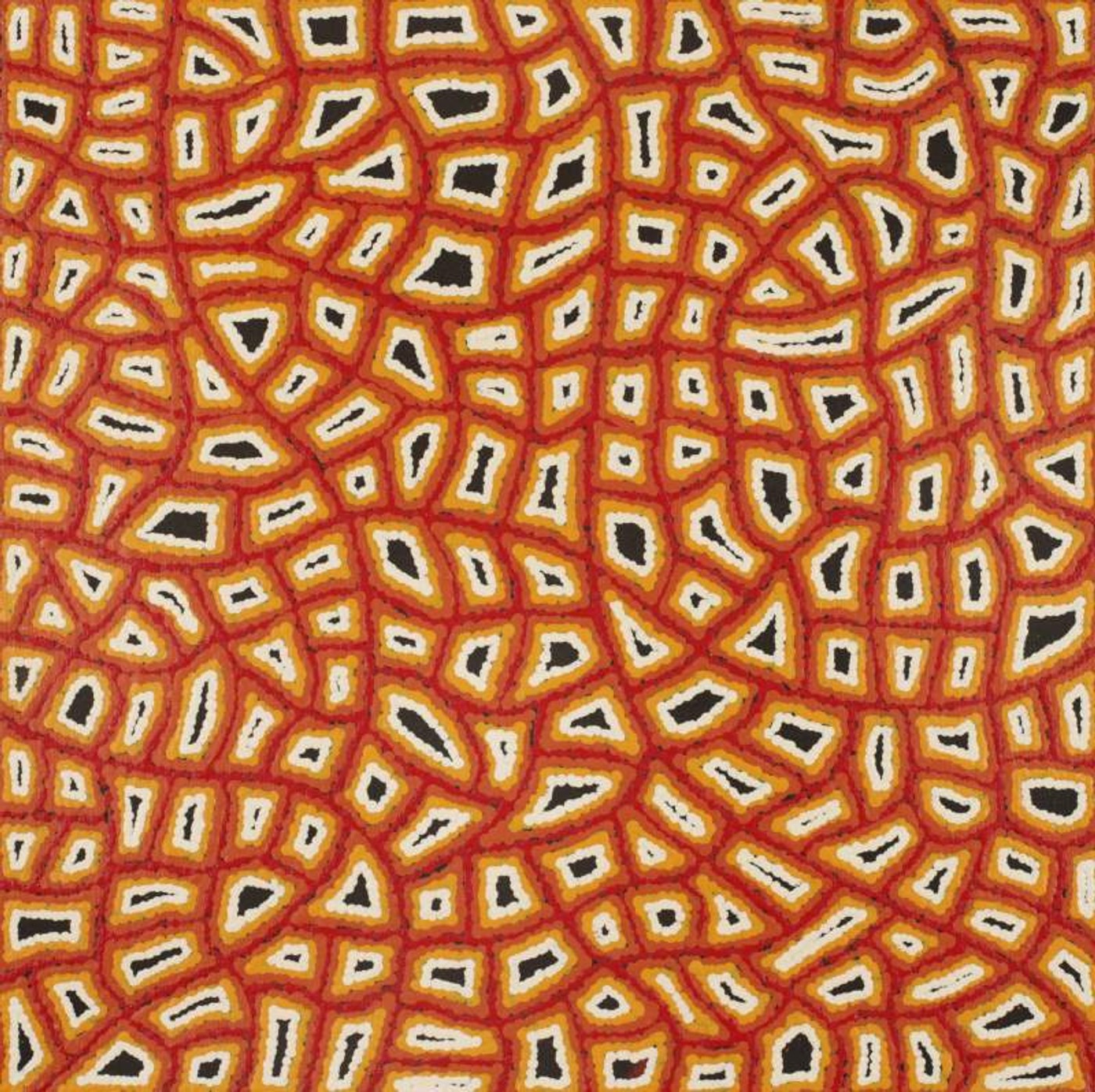 Ngapa Jukurrpa (Water Dreaming)  -  Puyurru by Delores Nangala Robertson