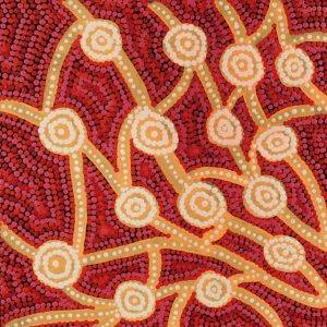 Wardapi Jukurrpa (Goanna Dreaming) - Yarripilangu by Ingrid Napangardi Williams