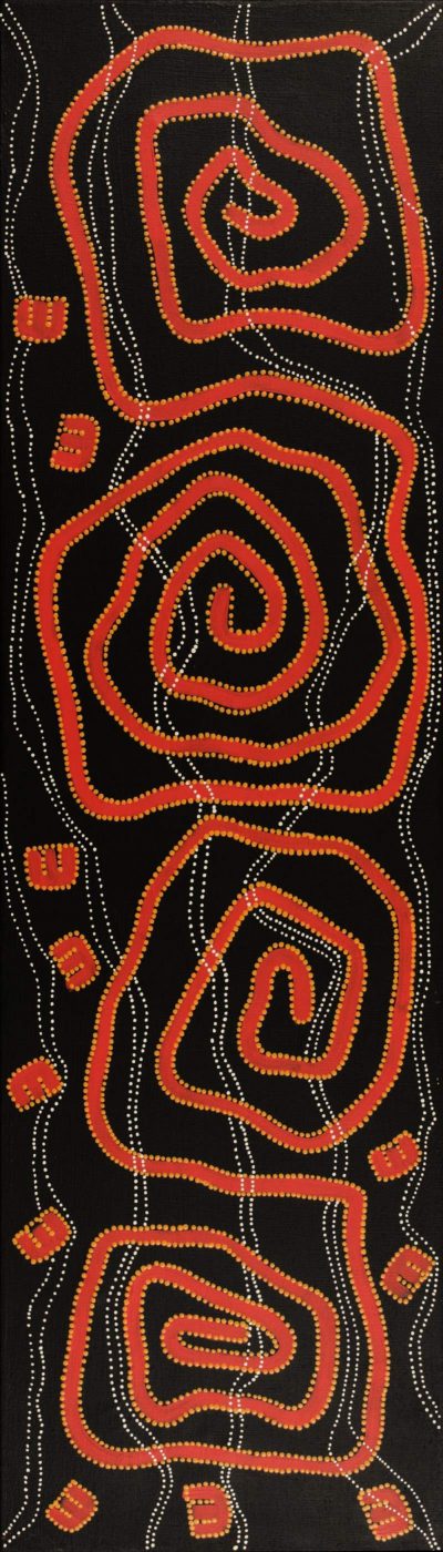 Janganpa Jukurrpa (Brush-tail Possum Dreaming)- Mawurrji by Stephanie Napurrurla Nelson