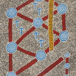 Yankirri Jukurrpa (Emu Dreaming) - Ngarlikirlangu by Michael Japaljarri Wayne