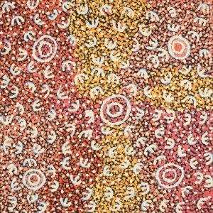 Wardapi Jukurrpa (Goanna Dreaming) - Yarripilangu by Ruth Nungarrayi Spencer