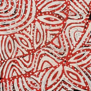 Ngapa Jukurrpa (Water Dreaming)  - Mikanji by Juliette Nampijinpa Brown