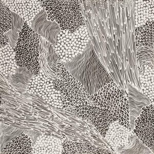 Pikilyi Jukurrpa (Vaughan Springs Dreaming) by Mary Napangardi Butcher