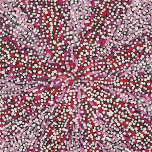 Warna Jukurrpa (Snake Dreaming) by Valma Nakamarra White