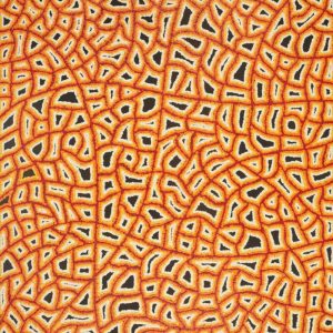 Ngapa Jukurrpa (Water Dreaming)  -  Puyurru by Delores Nangala Robertson