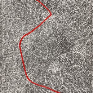 Ngapa Jukurrpa (Water Dreaming)  -  Pirlinyarnu by Ursula Nampijinpa Collins