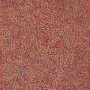 Warlukurlangu Jukurrpa (Fire country Dreaming) by Nathania Nangala Granites