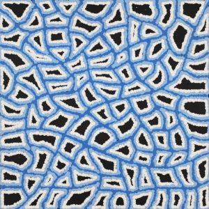 Ngapa Jukurrpa (Water Dreaming)  -  Puyurru by Delores Nangala Robertson