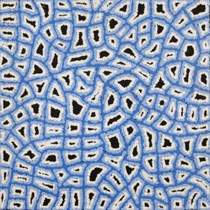 Ngapa Jukurrpa (Water Dreaming)  -  Puyurru by Delores Nangala Robertson