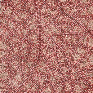 Warlukurlangu Jukurrpa (Fire country Dreaming) by Nathania Nangala Granites