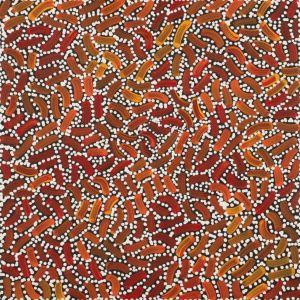 Warlukurlangu Jukurrpa (Fire country Dreaming) by Nathania Nangala Granites