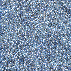 Warlukurlangu Jukurrpa (Fire country Dreaming) by Nathania Nangala Granites