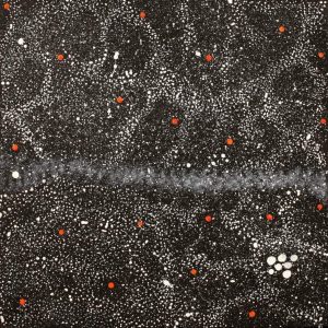 Napaljarri-warnu Jukurrpa (Seven Sisters Dreaming) by Priscilla Napurrurla Herbert