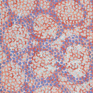 Pamapardu Jukurrpa (Flying Ant Dreaming)  - Warntungurru by Vanessa Nampijinpa Brown