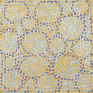 Pamapardu Jukurrpa (Flying Ant Dreaming)  - Warntungurru by Vanessa Nampijinpa Brown