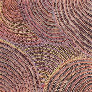 Pikilyi Jukurrpa (Vaughan Springs Dreaming) by Grace Napangardi Butcher