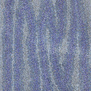 Warlukurlangu Jukurrpa (Fire country Dreaming) by Nathania Nangala Granites