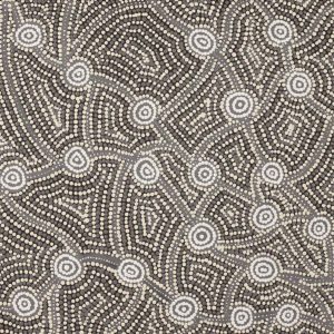 Wardapi Jukurrpa (Goanna Dreaming) - Yarripilangu by Ingrid Napangardi Williams