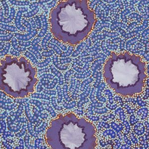Lappi Lappi Jukurrpa (Lappi Lappi Dreaming) by Wilma Nungarrayi Dixon