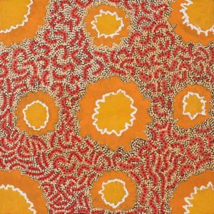Lappi Lappi Jukurrpa (Lappi Lappi Dreaming) by Wilma Nungarrayi Dixon