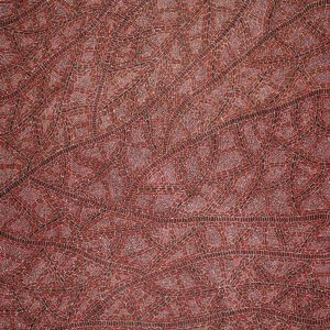 Warlukurlangu Jukurrpa (Fire country Dreaming) by Nathania Nangala Granites