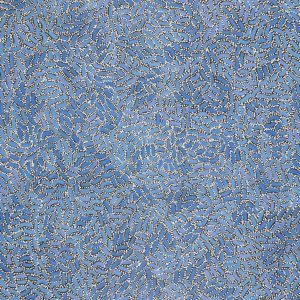 Warlukurlangu Jukurrpa (Fire country Dreaming) by Nathania Nangala Granites