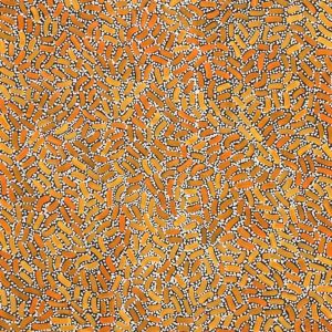 Warlukurlangu Jukurrpa (Fire country Dreaming) by Nathania Nangala Granites