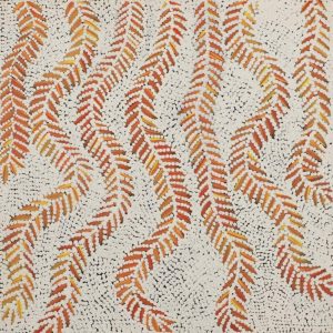 Karnta Jukurrpa (Women's Dreaming) - Bush Medicine by Patricia Nakamarra Oldfield