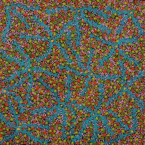 Wanakiji Jukurrpa (Bush Tomato Dreaming) by Ruth Napangardi Langdon