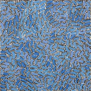 Warlukurlangu Jukurrpa (Fire country Dreaming) by Nathania Nangala Granites