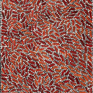Warlukurlangu Jukurrpa (Fire country Dreaming) by Nathania Nangala Granites