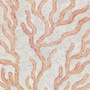 Karnta Jukurrpa (Women's Dreaming) - Bush Medicine by Patricia Nakamarra Oldfield