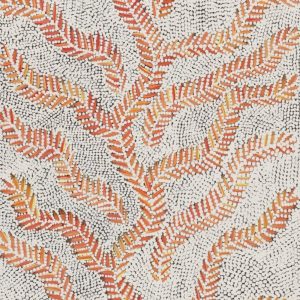 Karnta Jukurrpa (Women's Dreaming) - Bush Medicine by Patricia Nakamarra Oldfield