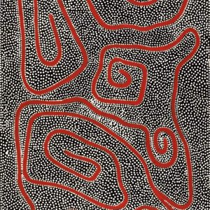 Yarla Jukurrpa (Bush Potato Dreaming) - Yumurrpa by Stephanie Napurrurla Nelson