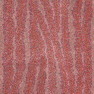 Warlukurlangu Jukurrpa (Fire country Dreaming) by Nathania Nangala Granites