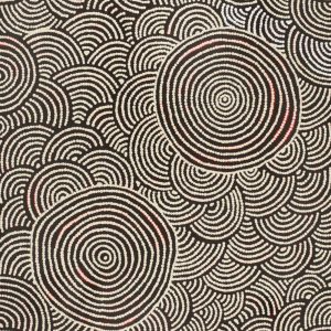 Nguru Warburton-wana (Country around Warburton) by Jenita Tjarurru Robertson