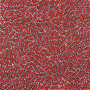 Warlukurlangu Jukurrpa (Fire country Dreaming) by Nathania Nangala Granites
