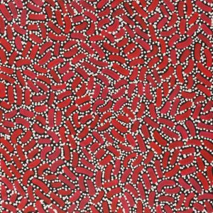 Warlukurlangu Jukurrpa (Fire country Dreaming) by Nathania Nangala Granites