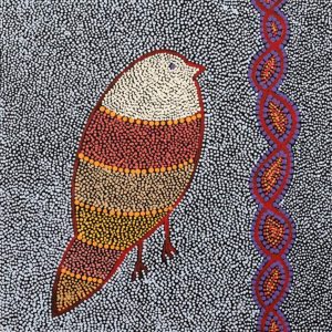 Ngalyipi Jukurrpa (Snakevine Dreaming) - Mina Mina by Geraldine Napangardi Granites by Geraldine Napangardi Granites
