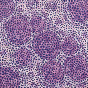 Pamapardu Jukurrpa (Flying Ant Dreaming) - Warntungurru by Vanessa Nampijinpa Brown