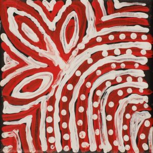 Ngapa Jukurrpa (Water Dreaming)  - Mikanji by Warlukurlangu Artists