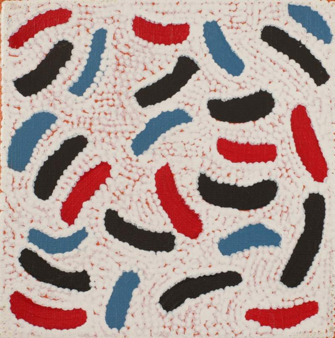 Yarla Jukurrpa (Bush Potato Dreaming) - Cockatoo Creek by Warlukurlangu Artists